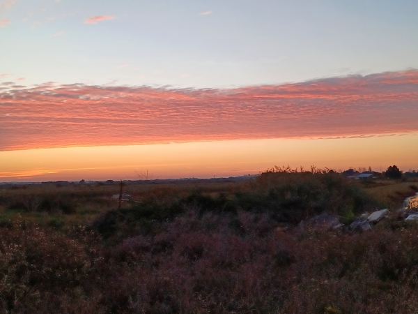 Coucher de soleil sur la campagne oléronaise